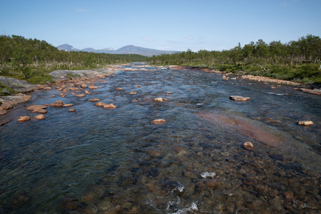 Rivier in het bos, met de stroom mee